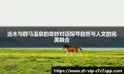 c7c7娱乐官网